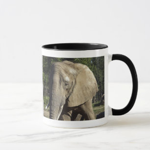 Elephant Mug