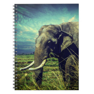 Elephant Notebook