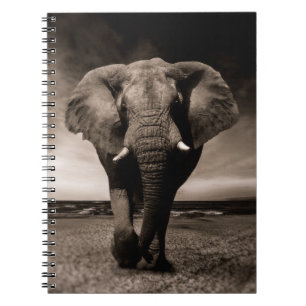 Elephant Notebook
