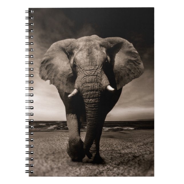 Elephant Notebook (Front)