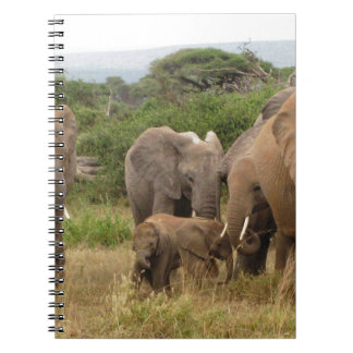 elephant notebook