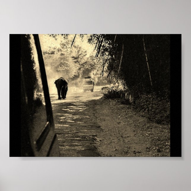 Elephant on a Stroll Poster (Front)