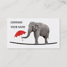 Elephant on a tightrope