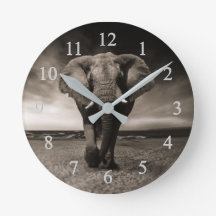 Elephant On Beach
