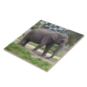 Elephant on Peaceful Meadow Path Ceramic Tile