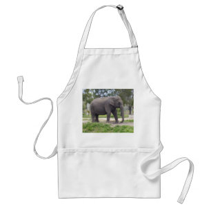 Elephant on Sunlit Meadow Path Standard Apron