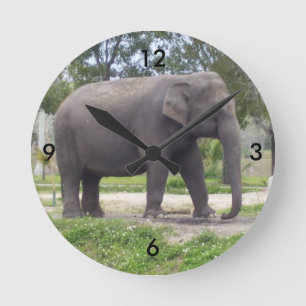 Elephant on Tranquil Trail Time Round Clock