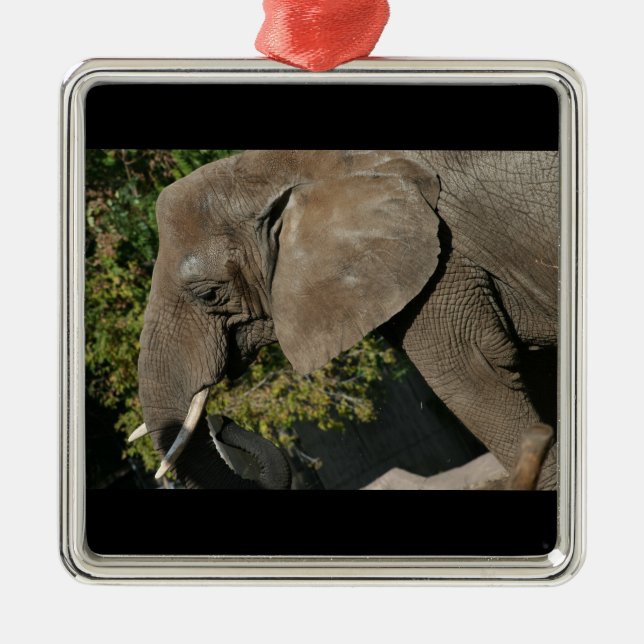 Elephant Ornament (Front)