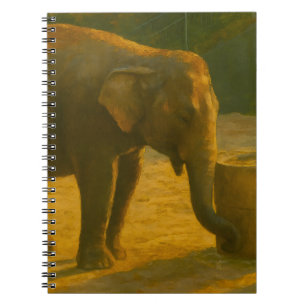 Elephant Pair in Sanctuary Setting Notebook