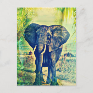 Elephant Palms Postcard
