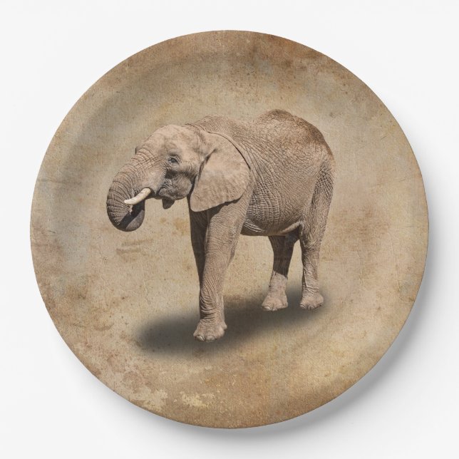 ELEPHANT PAPER PLATE (Front)