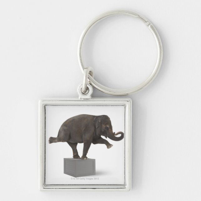 Elephant performing trick on box key ring (Front)