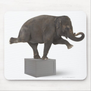 Elephant performing trick on box mouse pad