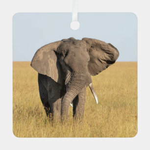 Elephant Personalise Name Photo Christmas Metal Tree Decoration