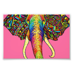 Elephant Photo Print