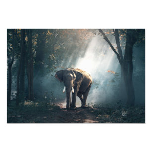 Elephant Photo Print