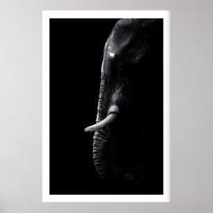 Elephant Photography Print Minimalist Safari Art