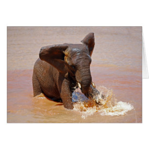 Elephant playing with water