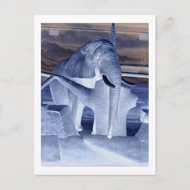 Elephant Pop Art Postcard (Front)
