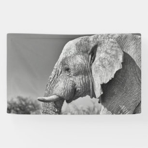 Elephant portrait banner