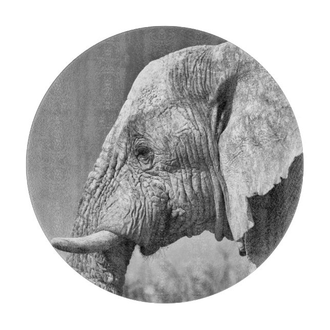 Elephant portrait cutting board (Front)