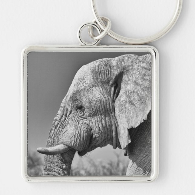 Elephant portrait key ring (Front)