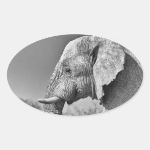Elephant portrait oval sticker