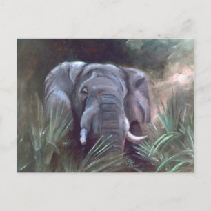 Elephant Portrait Postcard