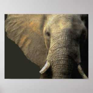 Elephant Portrait Poster