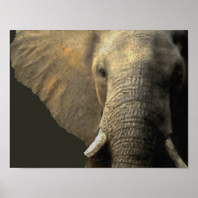Elephant Portrait Poster (Front)