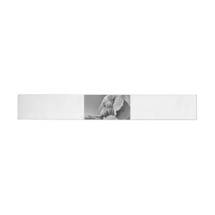 Elephant portrait wrap around label