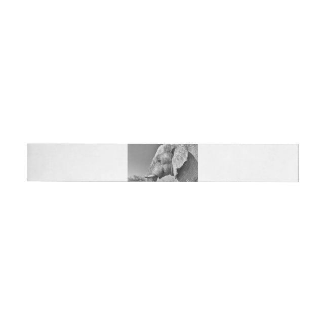 Elephant portrait wrap around label (Individual)