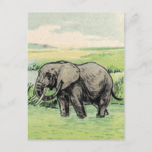 Elephant Postcard