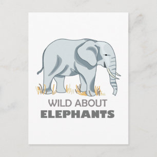 ELEPHANT POSTCARD