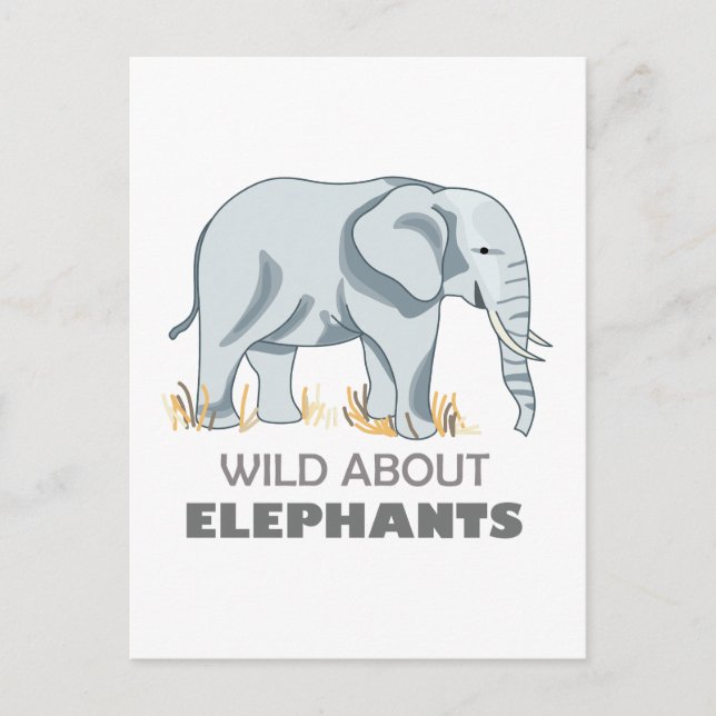 ELEPHANT POSTCARD (Front)