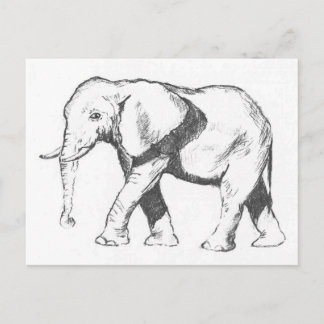 Elephant Postcard