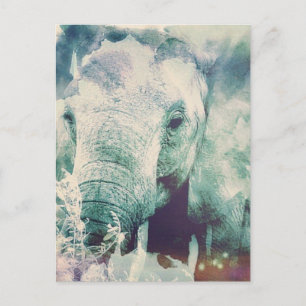 Elephant Postcard