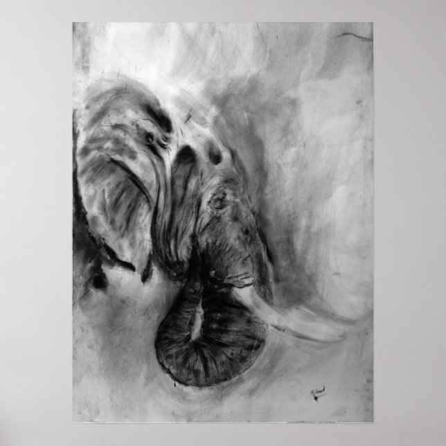 elephant poster size 18x24 (Front)