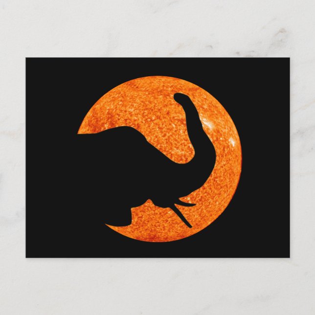 Elephant Profile Solar Eclipse Postcard (Front)