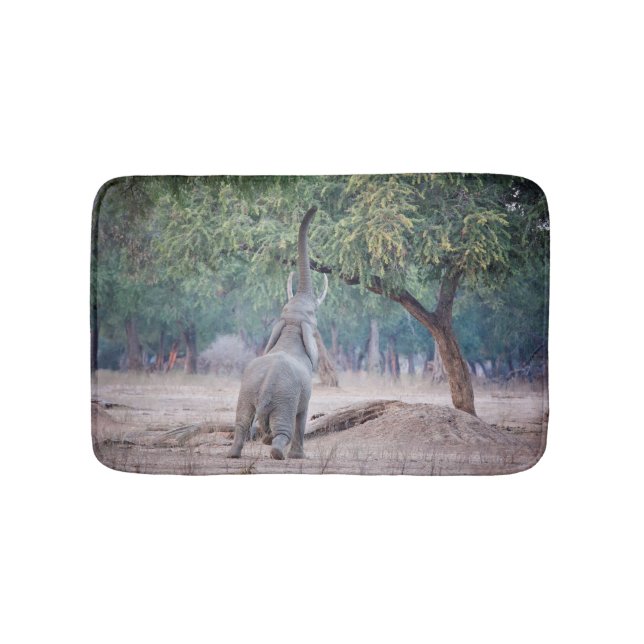 Elephant reaching for Acacia tree Bath Mat (Front)