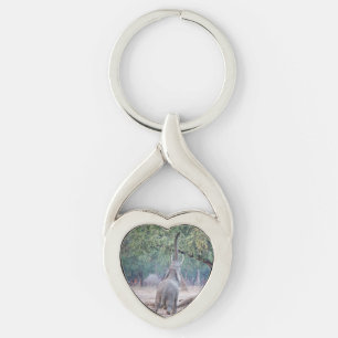 Elephant reaching for Acacia tree Key Ring
