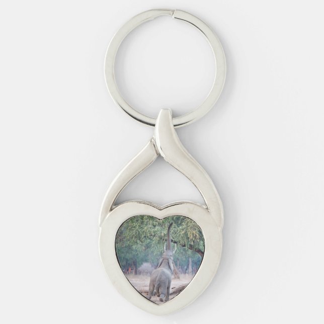 Elephant reaching for Acacia tree Key Ring (Front)