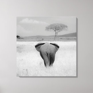Elephant, rear view Wrapped Canvas