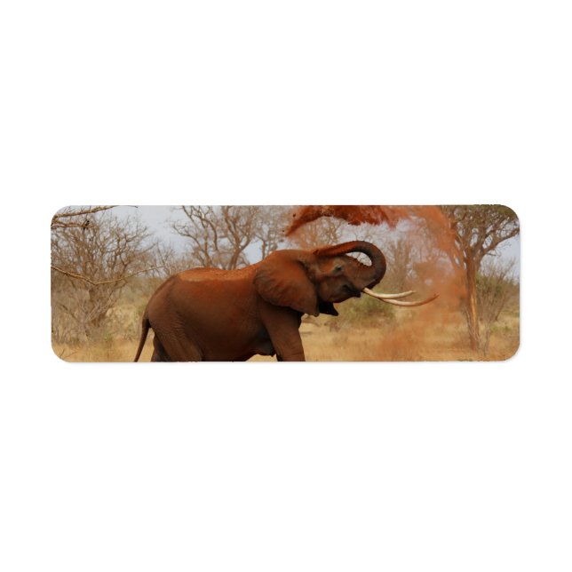 Elephant Return Address Label (Front)