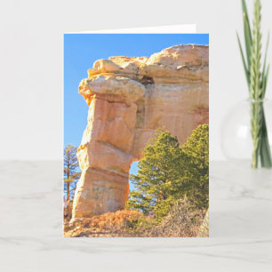 Elephant Rock Card