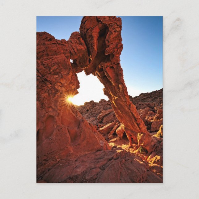 Elephant Rock in the Valley of Fire Postcard (Front)