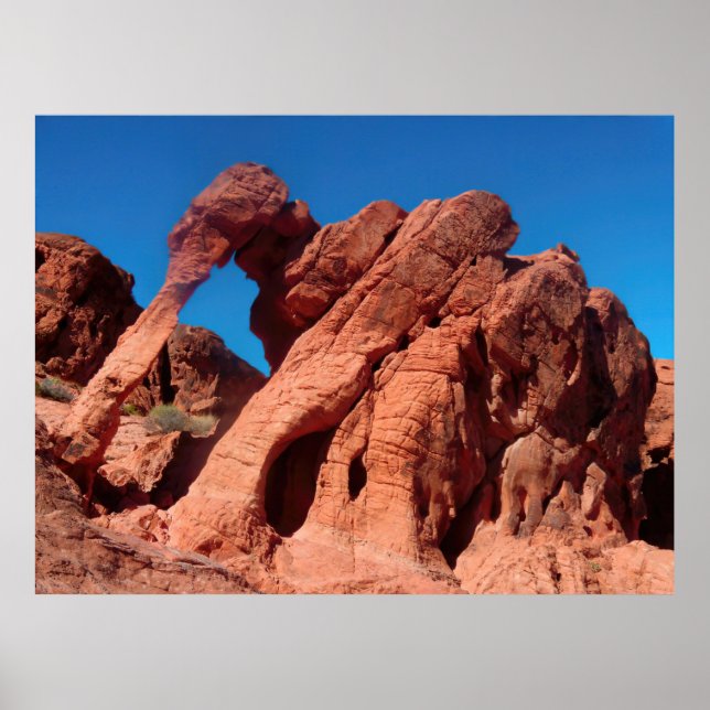 Elephant Rock Poster (Front)