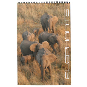 elephant safari calendar