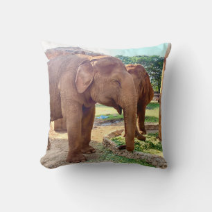 Elephant Sanctuary Cushion