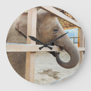 Elephant Sanctuary  Large Clock